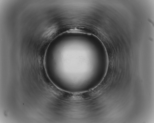 X0000091190270200708161558