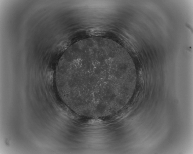 X0000091190271200708161558