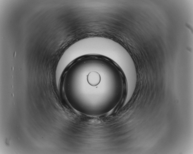X0000091190272200708161558