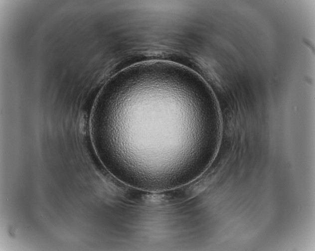 X0000091190273200708161558