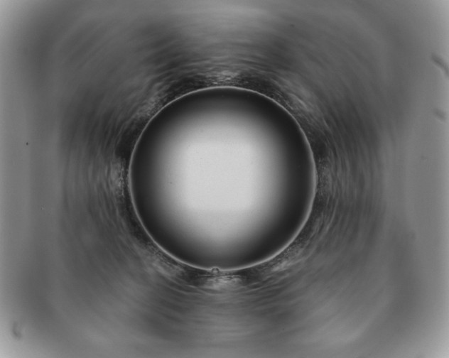 X0000091190274200708161558