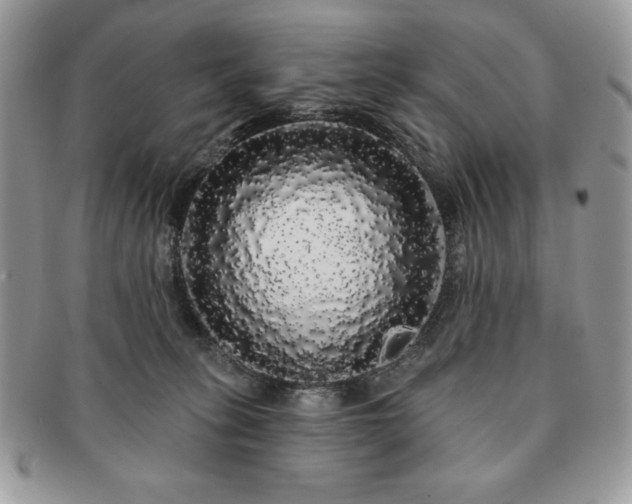 X0000091190275200708161558