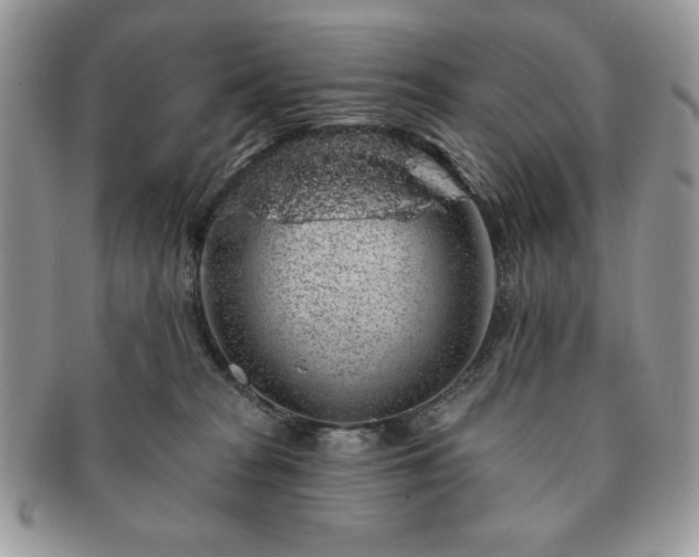 X0000091190277200708161558