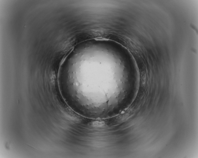 X0000091190279200708161558