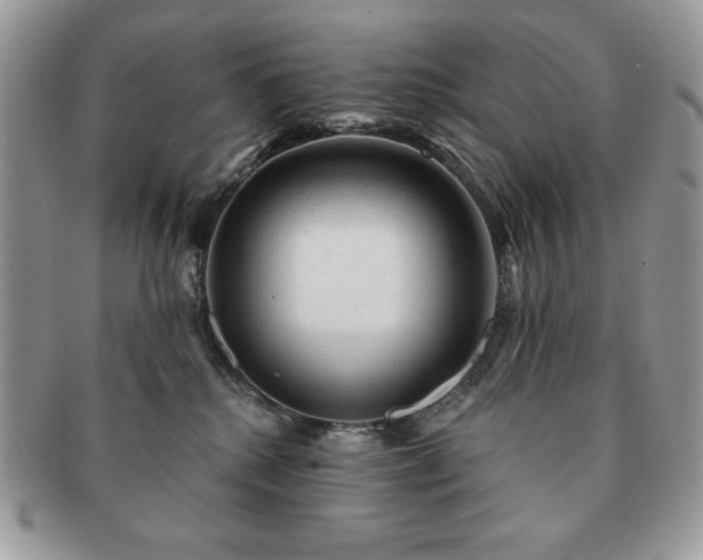 X0000091190280200708161558