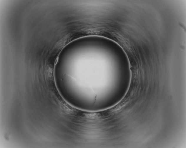 X0000091190281200708161558