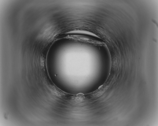 X0000091190282200708161558