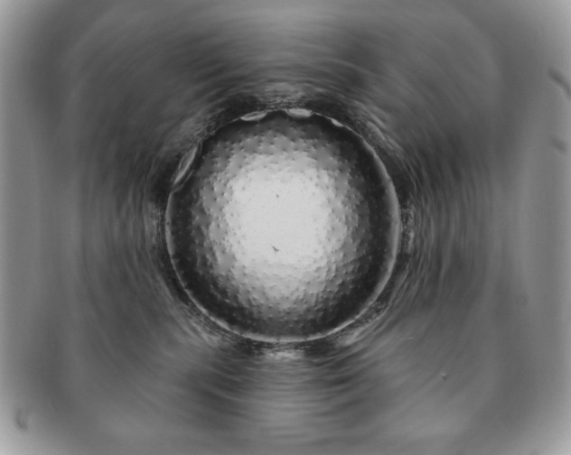 X0000091190283200708161558