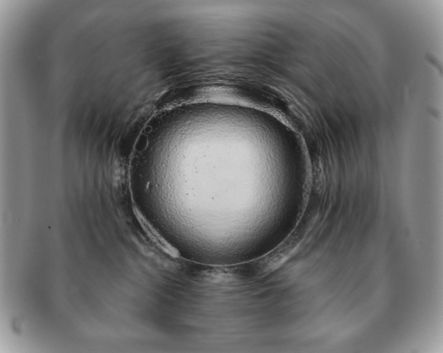 X0000091190284200708161558