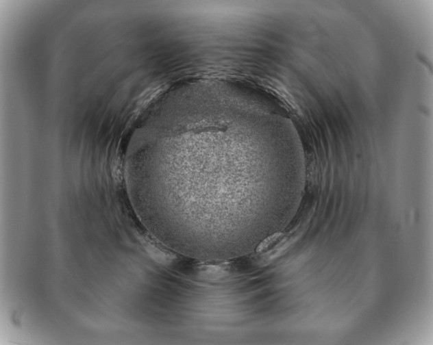 X0000091190285200708161558