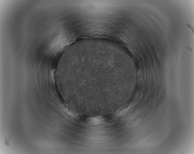 X0000091190286200708161558