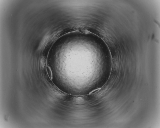 X0000091190287200708161558