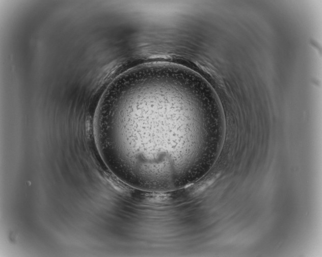 X0000091190288200708161558