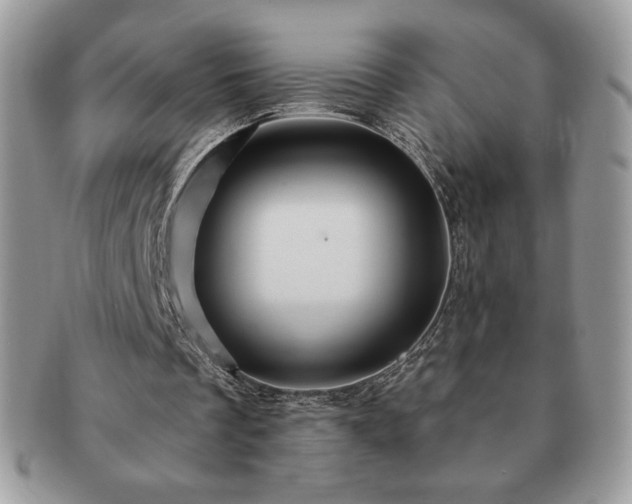 X0000091190289200708161557