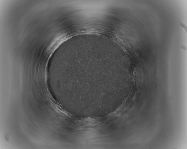 X0000091190290200708161557