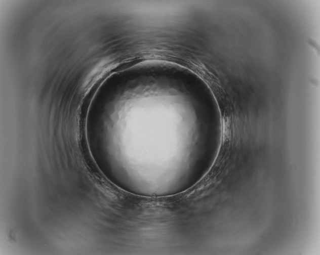 X0000091190291200708161557