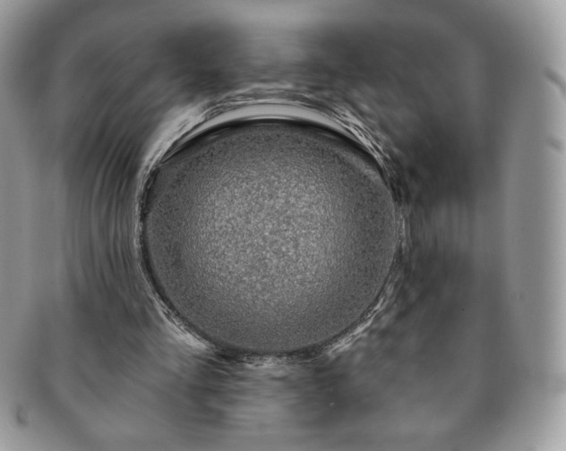 X0000091190293200708161557