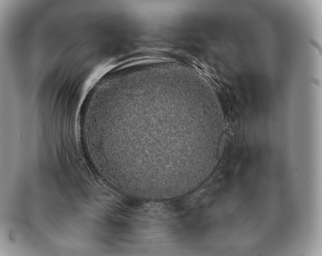 X0000091190294200708161557
