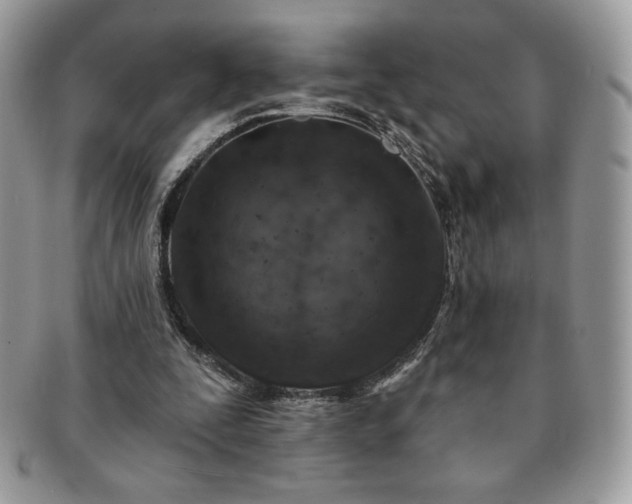 X0000091190295200708161557