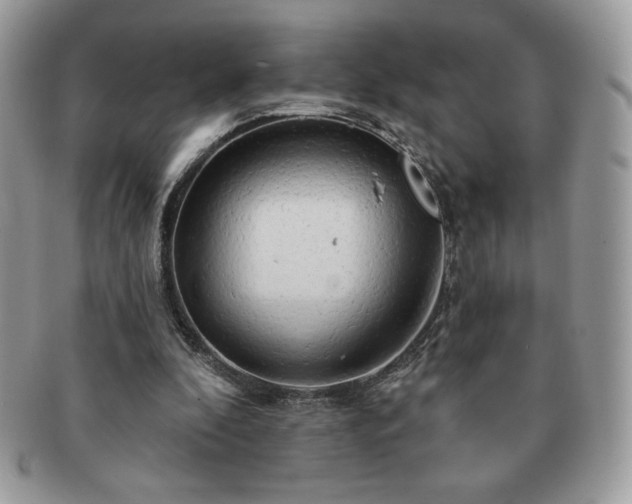 X0000091190296200708161557
