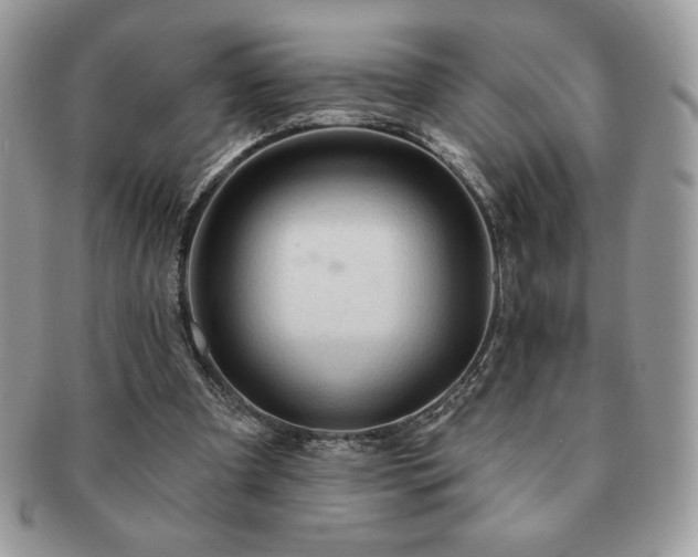 X0000091190297200708161557