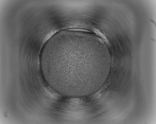 X0000091190298200708161557