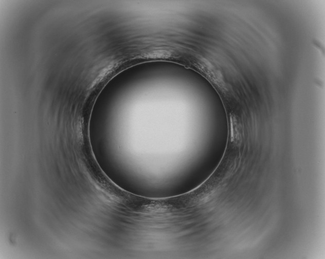 X0000091190300200708161557