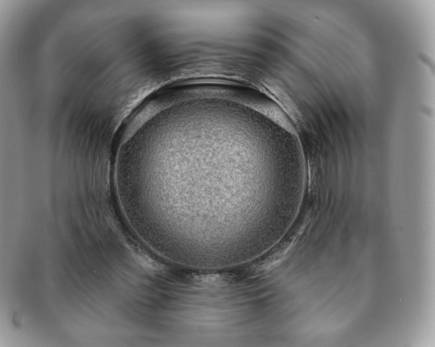 X0000091190301200708161557