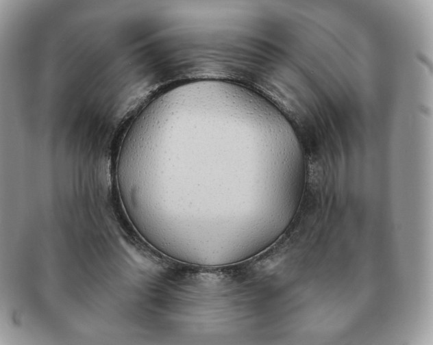X0000091190302200708161557