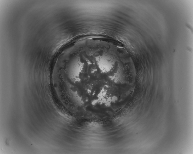 X0000091190303200708161557