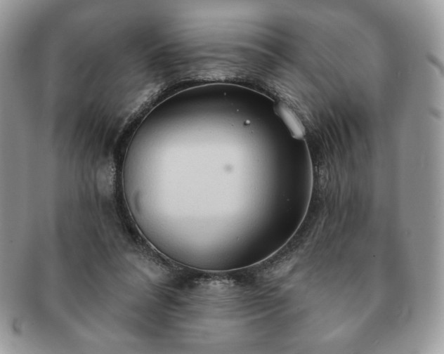 X0000091190304200708161557