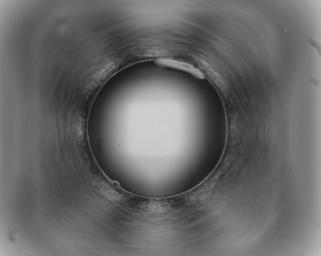 X0000091190305200708161557