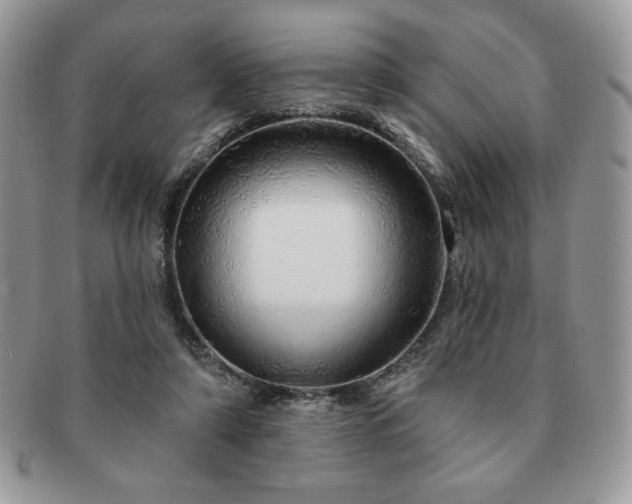 X0000091190306200708161557