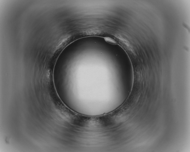 X0000091190308200708161557
