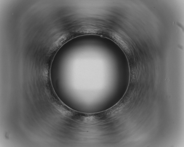 X0000091190309200708161557