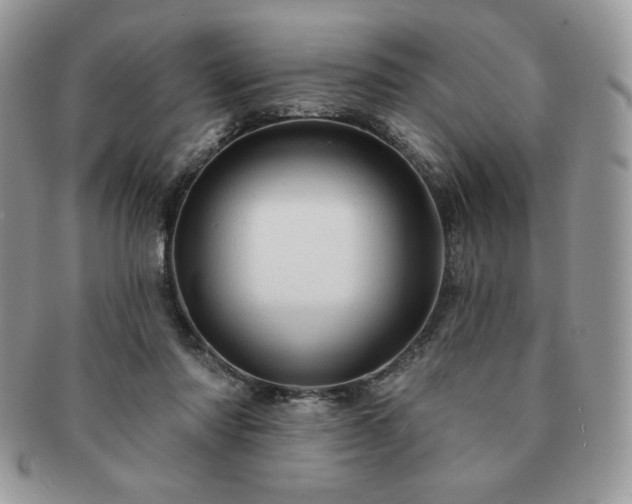 X0000091190310200708161557