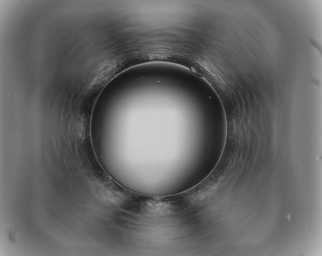 X0000091190311200708161557