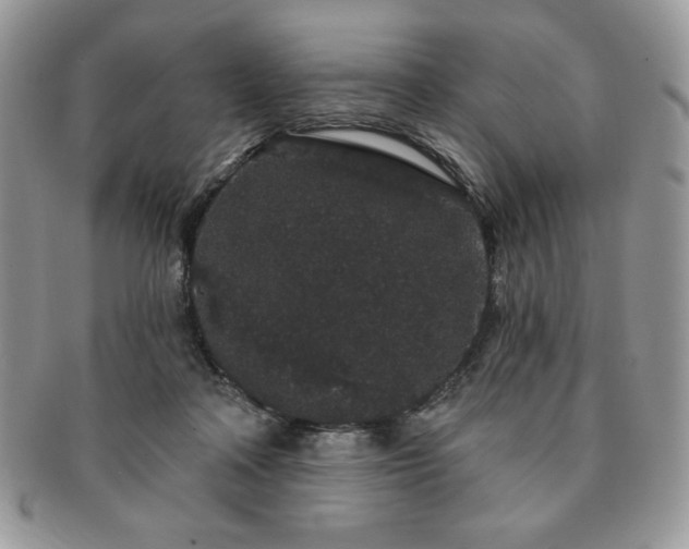 X0000091190314200708161557