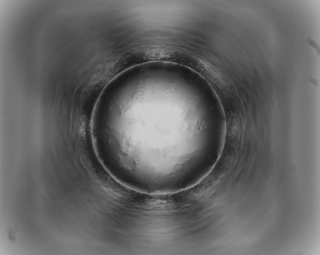 X0000091190315200708161557
