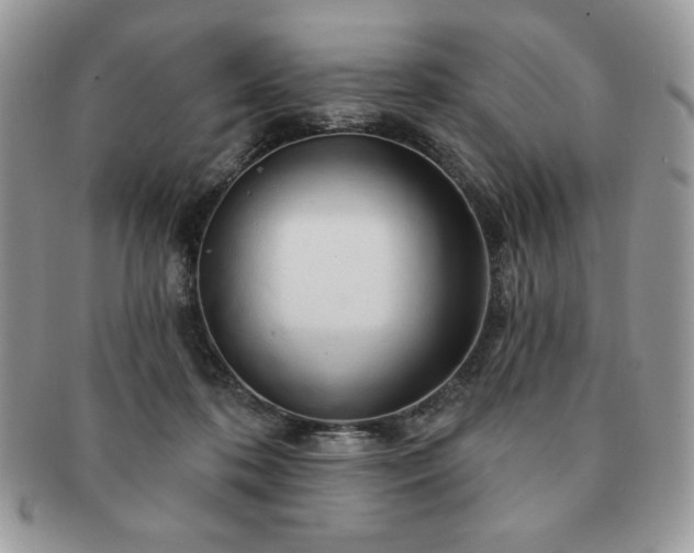 X0000091190316200708161557
