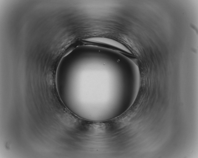 X0000091190317200708161557