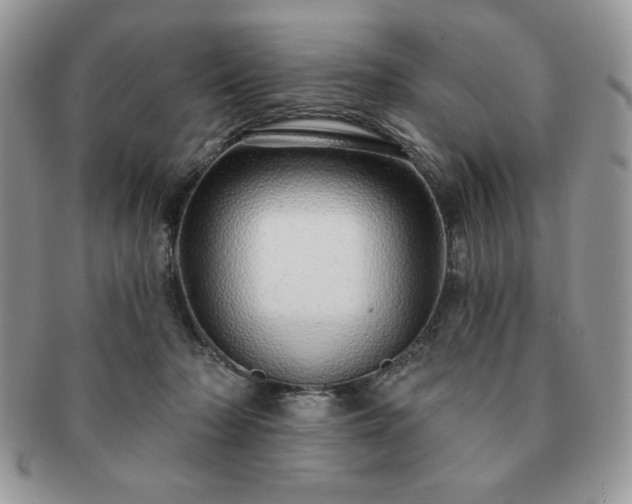 X0000091190318200708161557