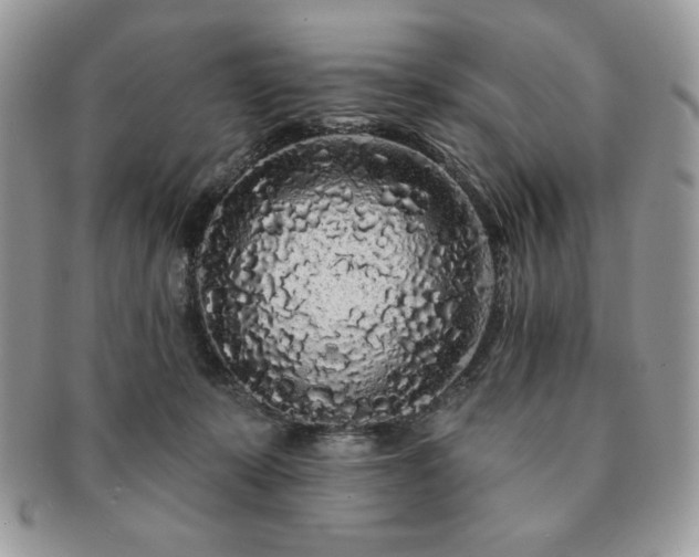 X0000091190319200708161557