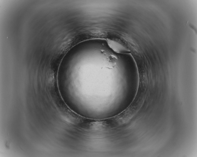 X0000091190320200708161556