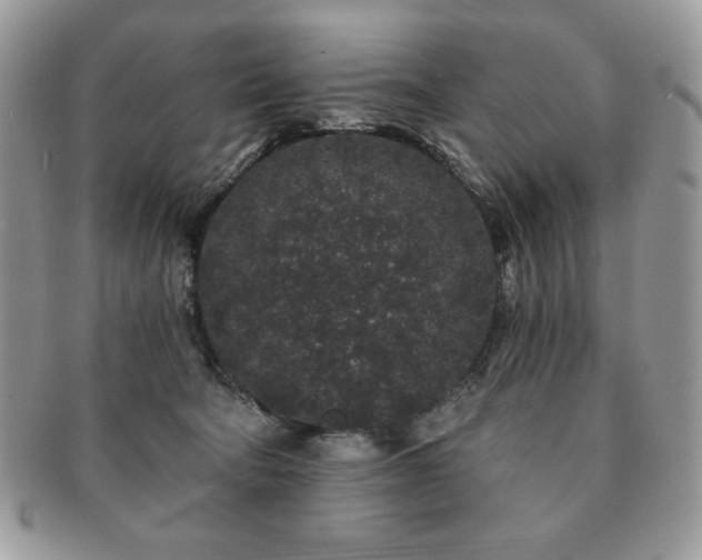 X0000091190322200708161556