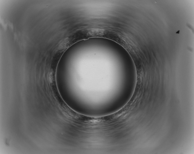 X0000091190323200708161556