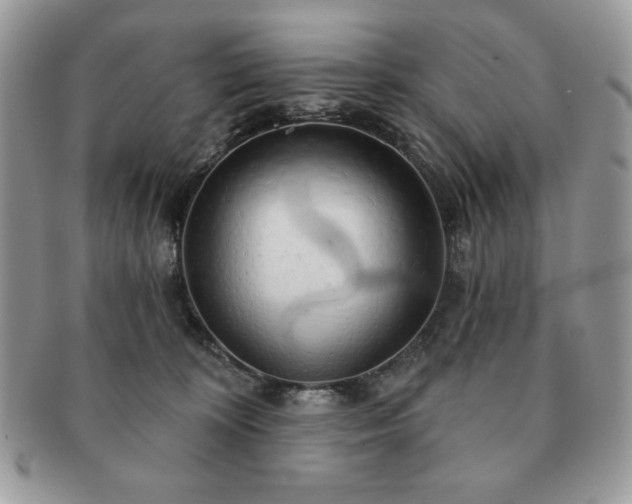 X0000091190324200708161556