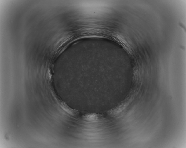 X0000091190325200708161556