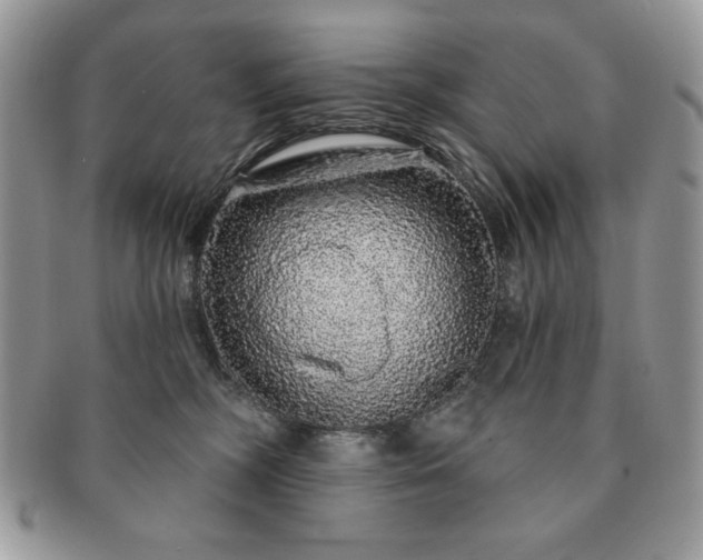 X0000091190326200708161556