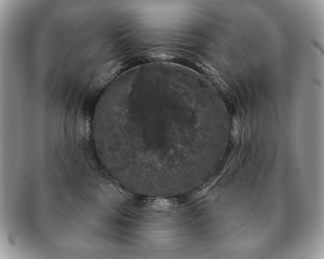 X0000091190330200708161556